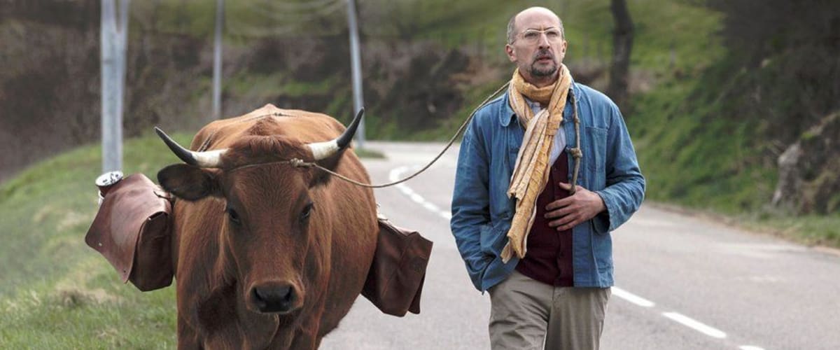 One Man And His Cow