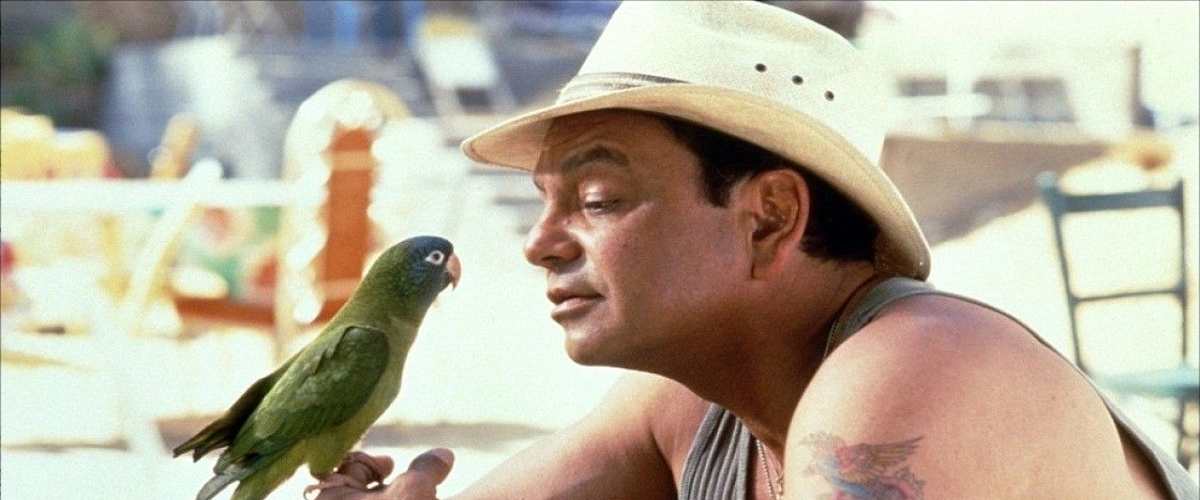 Paulie