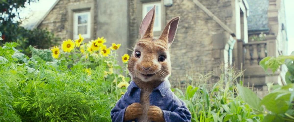 Watch peter rabbit movie online free youtube new arrivals