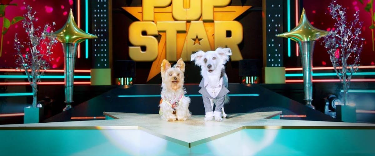 Pup Star