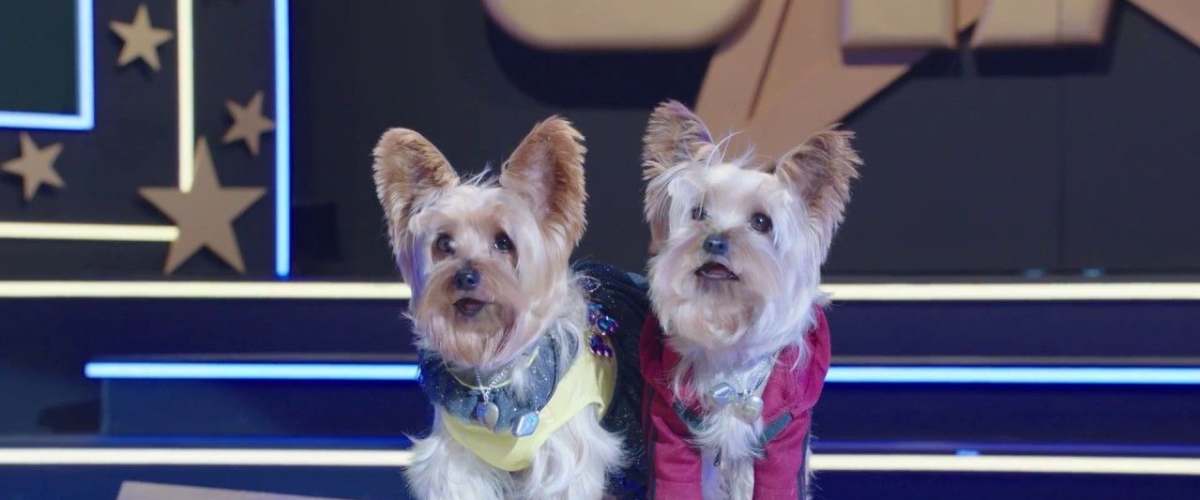 Pup Star: Better 2Gether