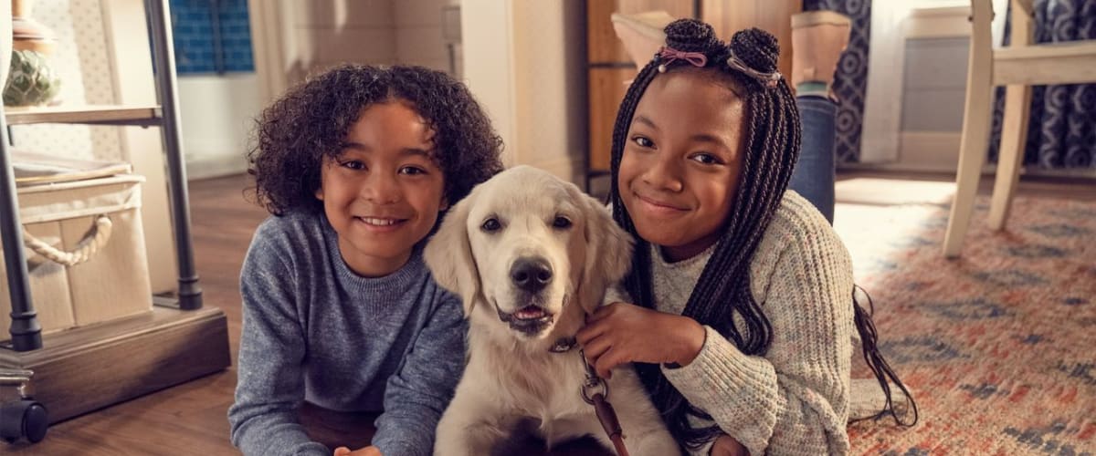 Puppy Place - Season 1