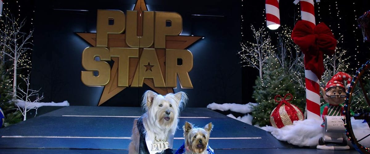 Puppy Star Christmas