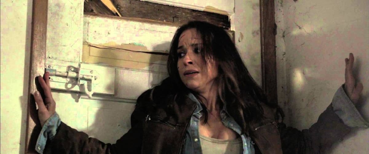 Watch Scarecrow
