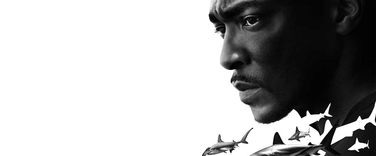 Shark Beach with Anthony Mackie