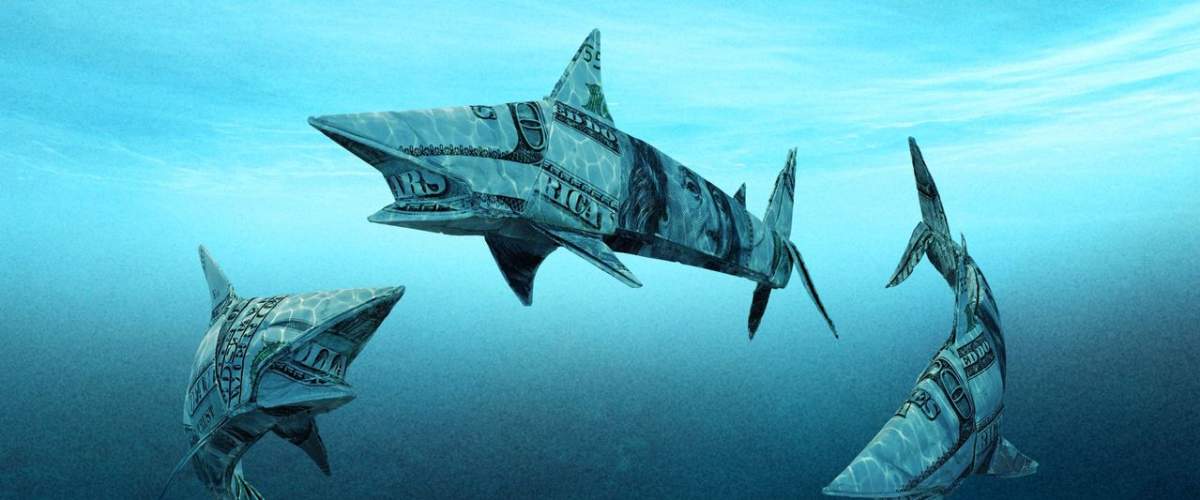 Shark Tank - Season 11