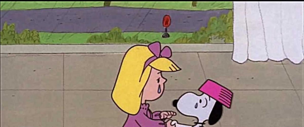 Snoopy Come Home