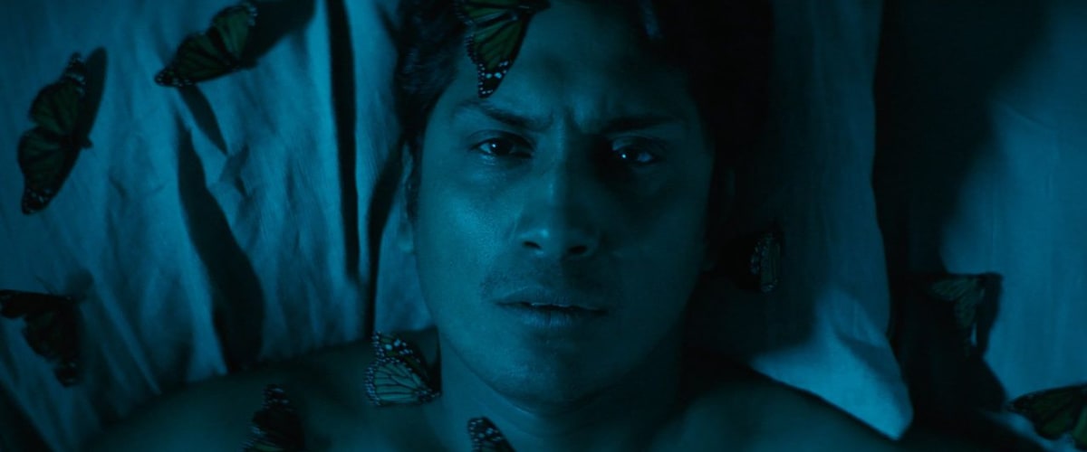 Watch Son of Monarchs