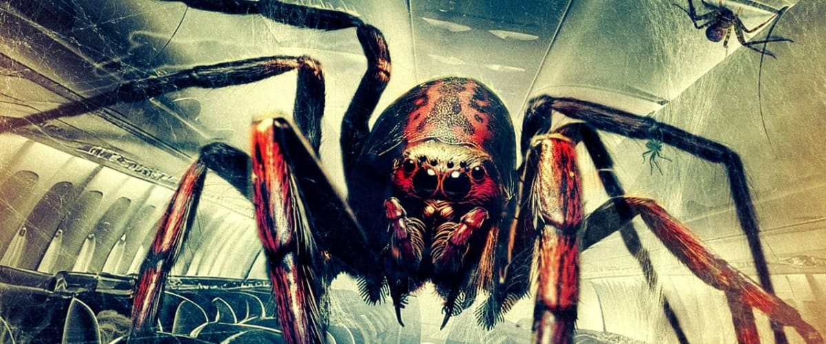 Spiders on a Plane