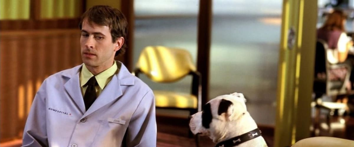 Watch Stealing Harvard