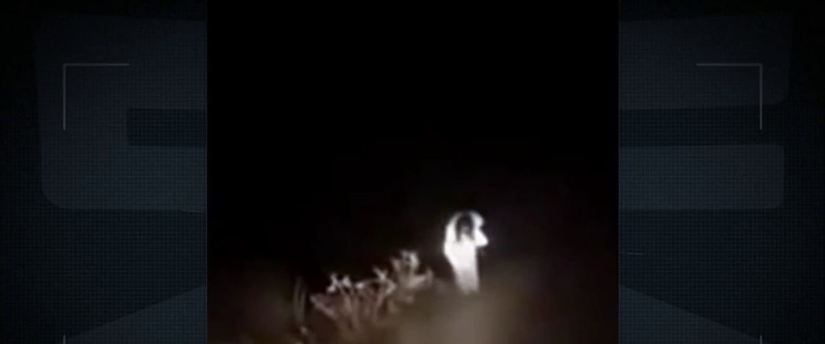 Strange Evidence - Season 6