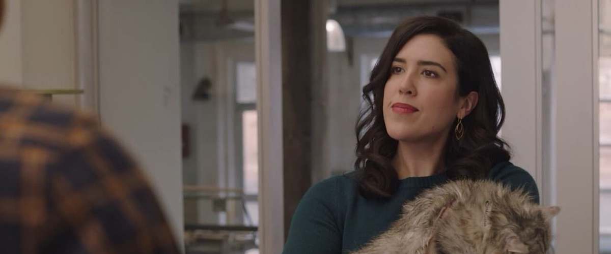 Watch Strays - Season 1