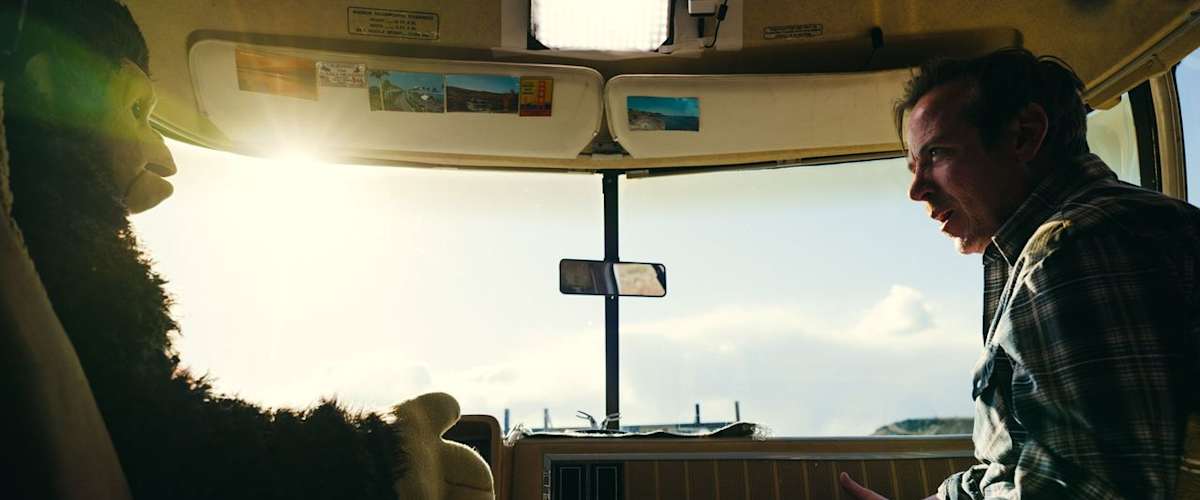 Sunlight