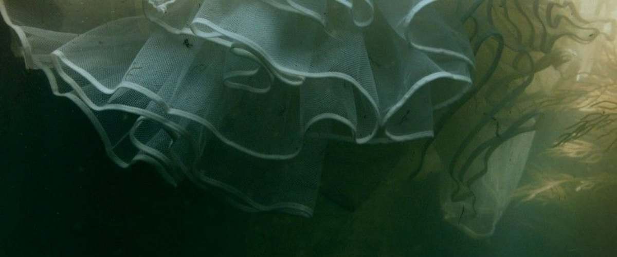 Swamp Murders - Season 5