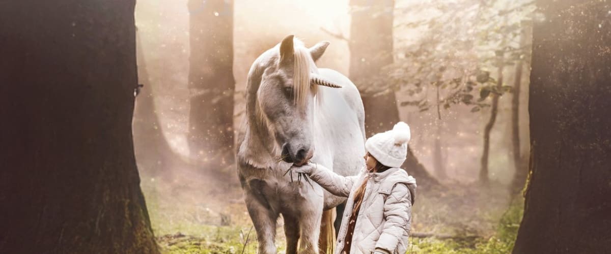 Tale of the Forest Unicorn