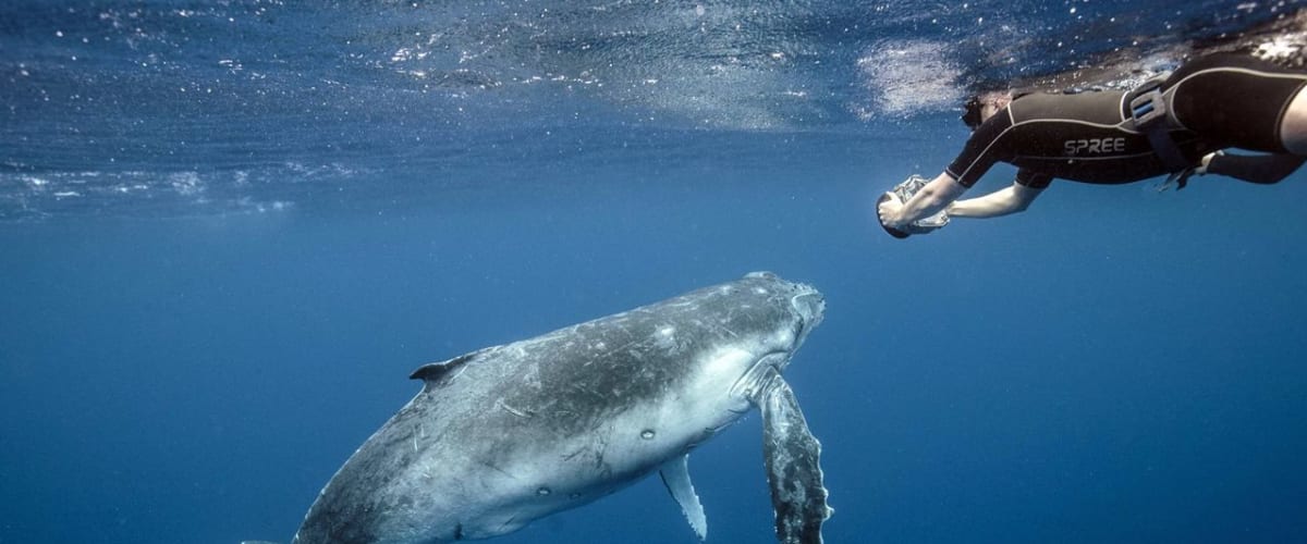 Tales by Light - Season 1