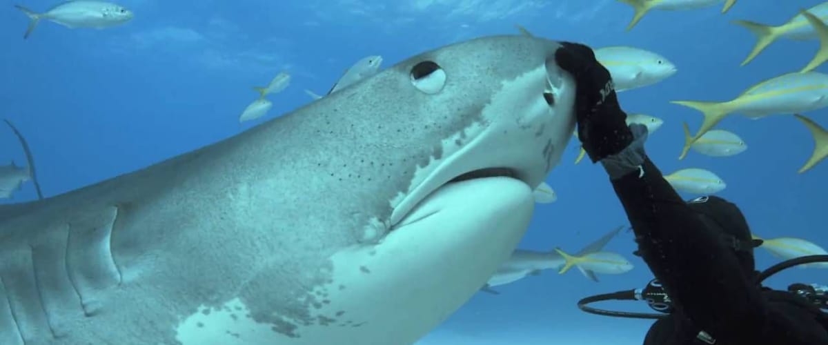 Tales by Light - Season 2