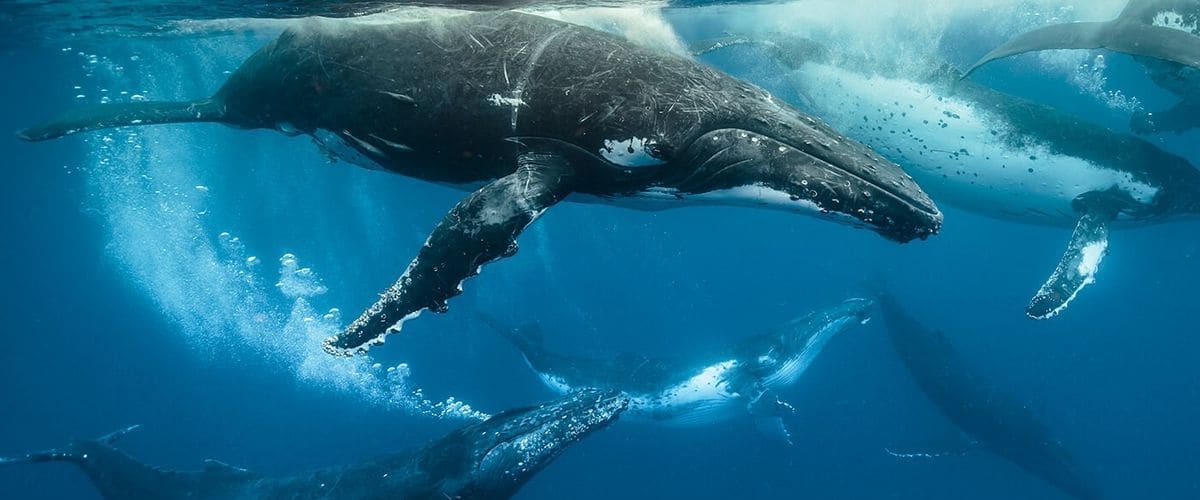 Tales by Light - Season 3