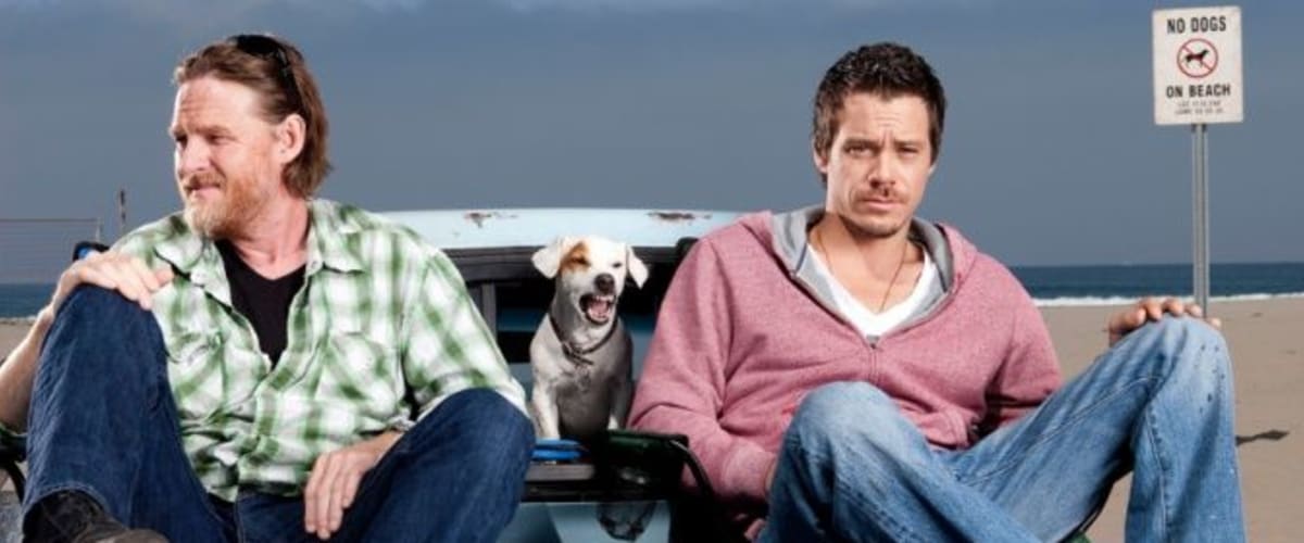 Watch Terriers - Season 1