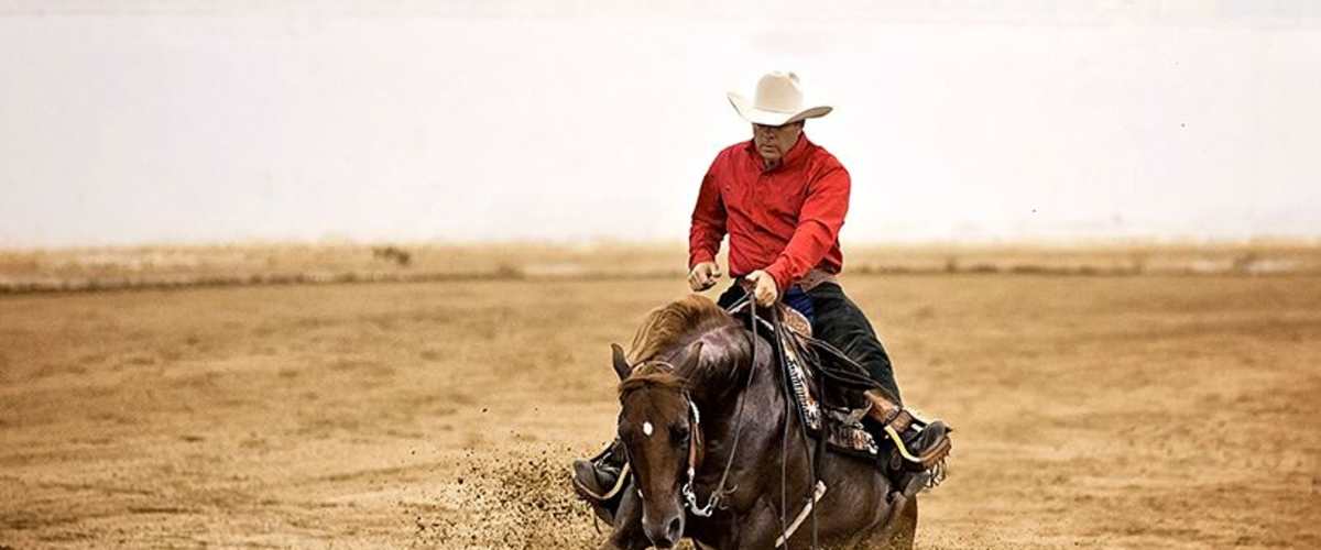 Texas Rein