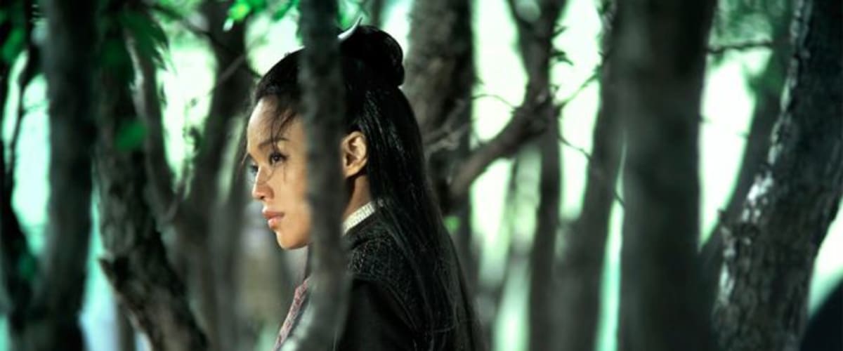 The Assassin