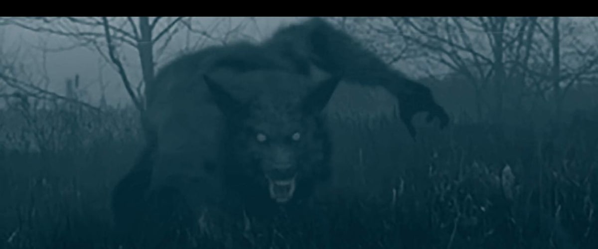 Watch The Bray Road Beast