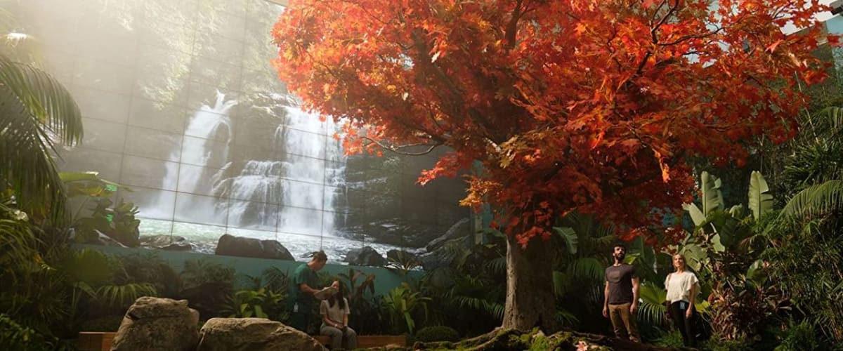 The Commons - Season 1