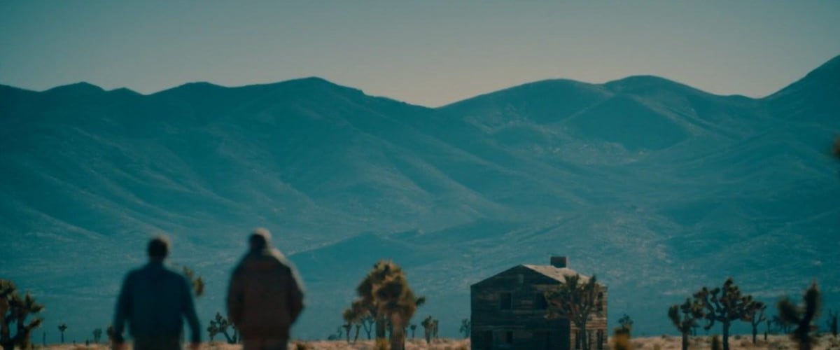 The Day the Dinosaurs Died