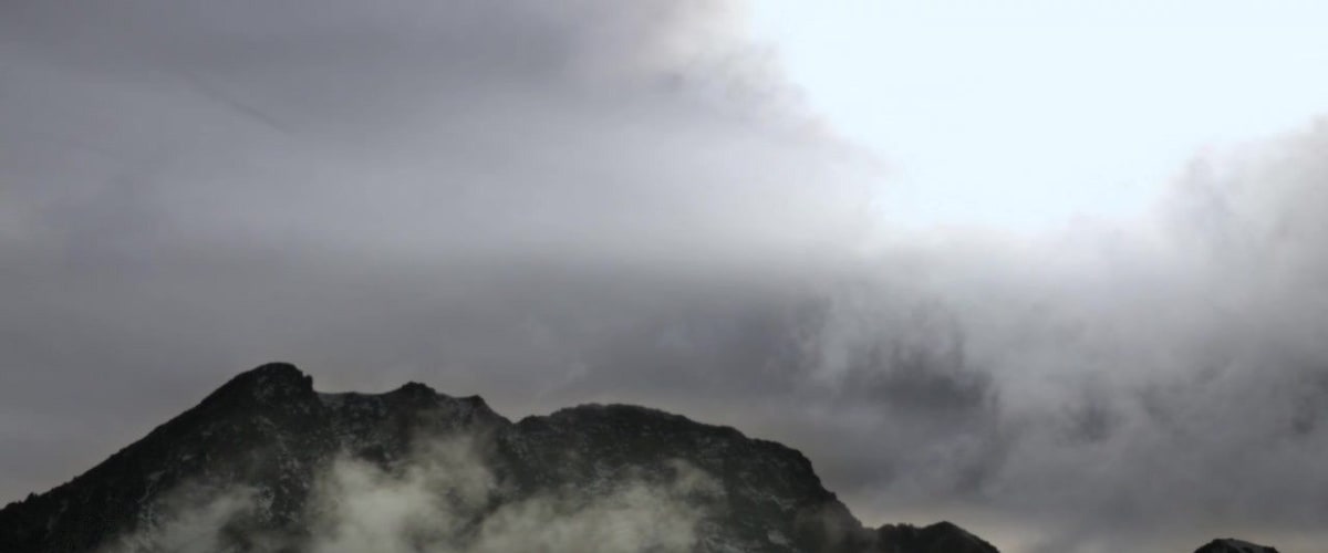 Watch The Dead and the Damned 3: Ravaged