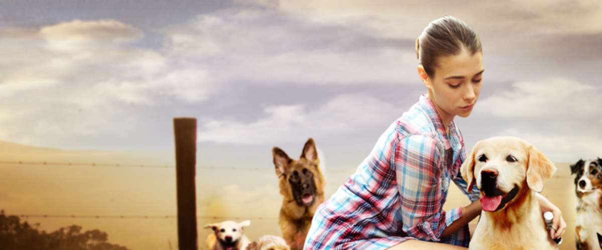 The Dog Lover