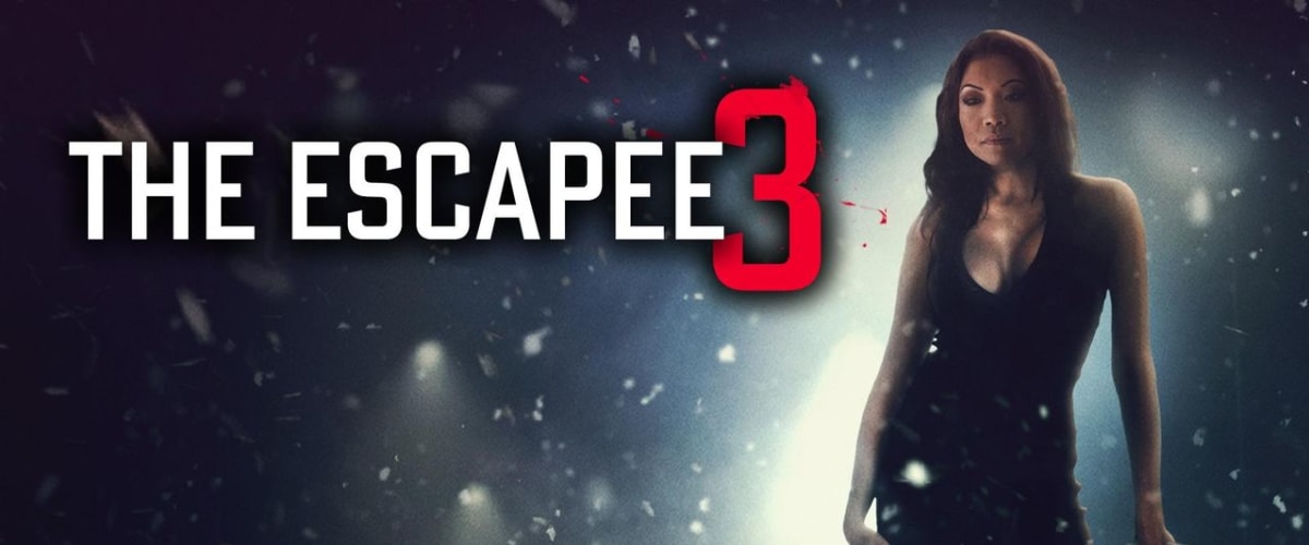 The Escapee 3: The Final Escape