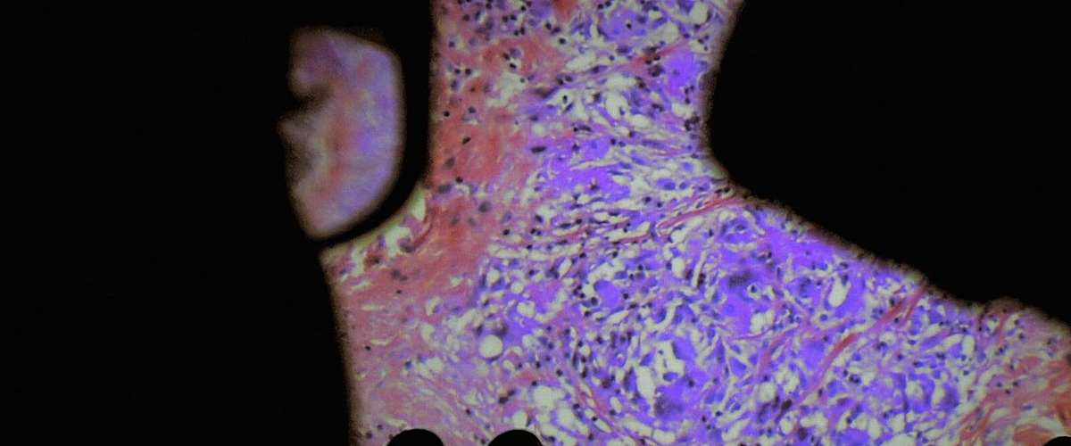 The Fabric of the Human Body