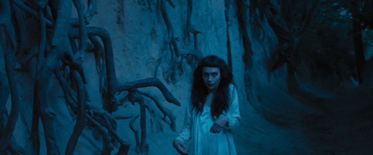 Watch The Field Guide to Evil