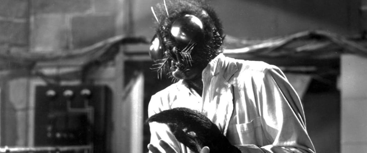 Watch The Fly 2