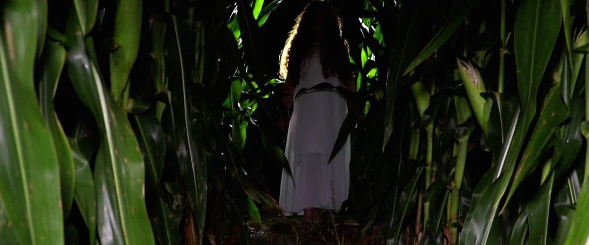 Watch The Girl in the Cornfield