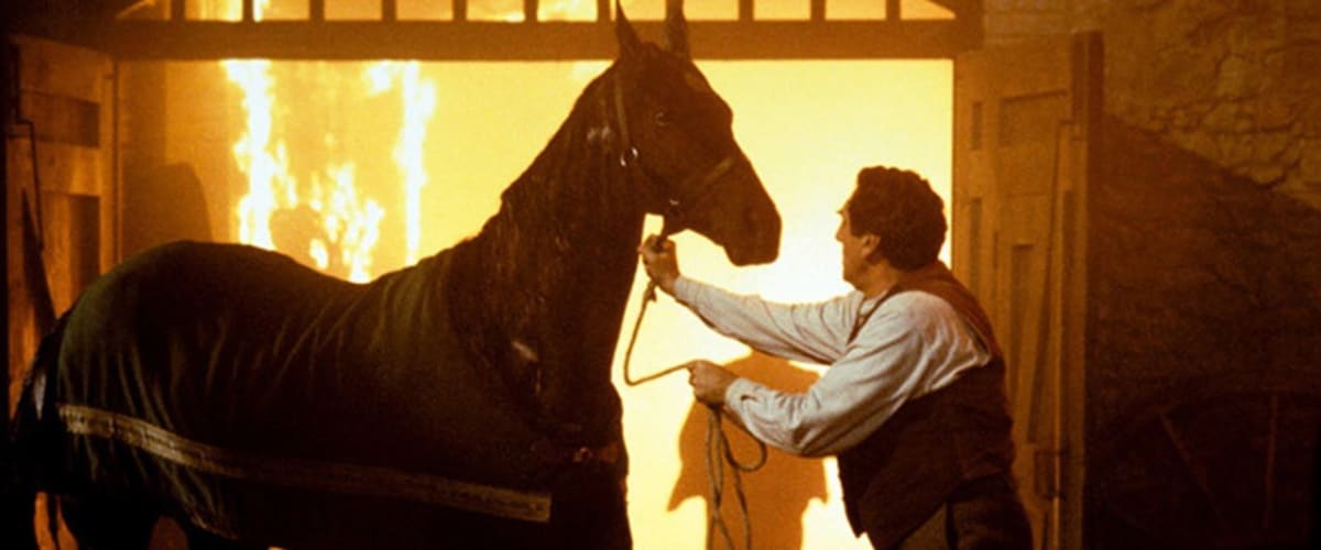 Watch The Horse Whisperer