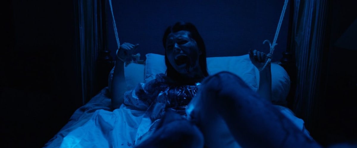 The House of Violent Desire