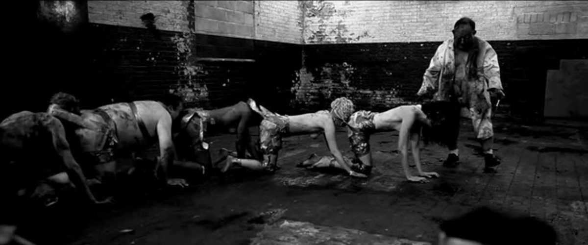 Watch the human centipede online online free