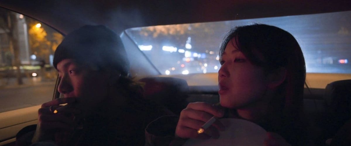 The Last Year of Darkness