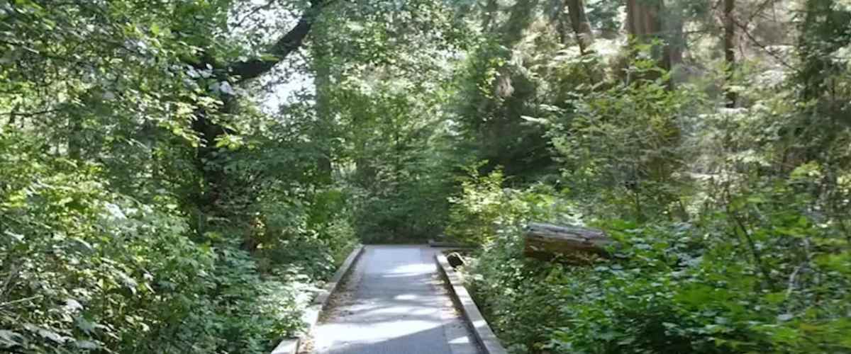 The Lost Vlog of Ruby Real