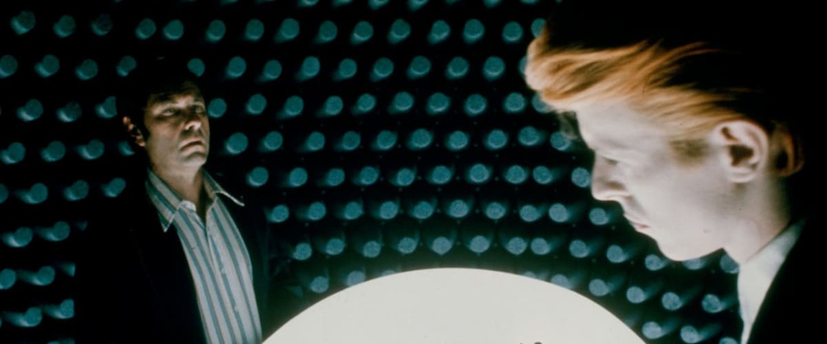 The Man Who Fell To Earth