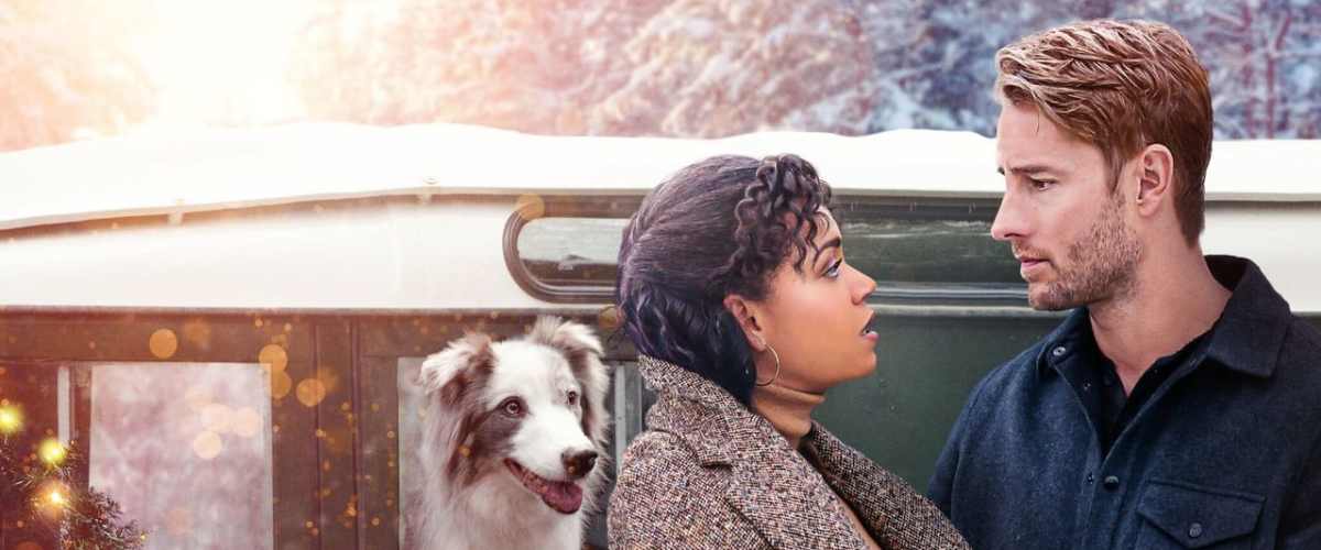 A dog's way home full movie online on sale free