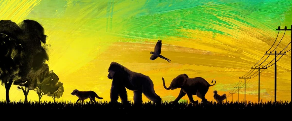 Watch The One and Only Ivan