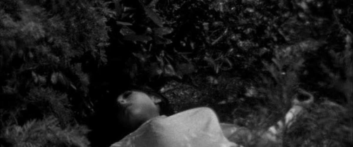 The Outer Limits - Season 7