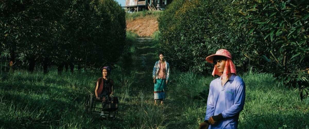 The Paradise of Thorns