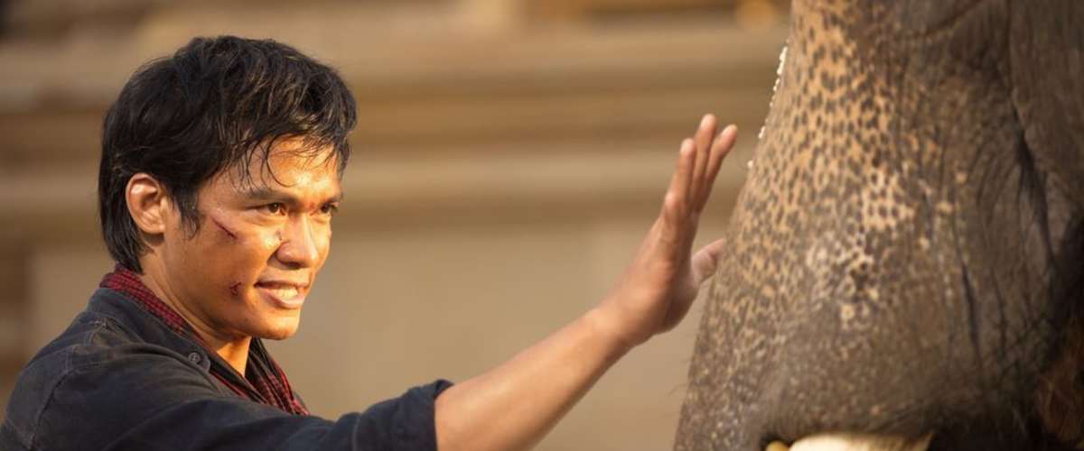 The Protector (2005)