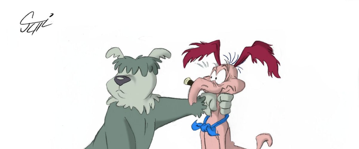The Raccoons - Season 1
