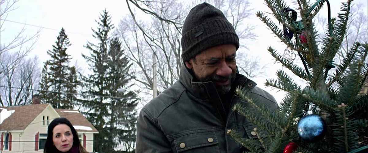 The Rooftop Christmas Tree