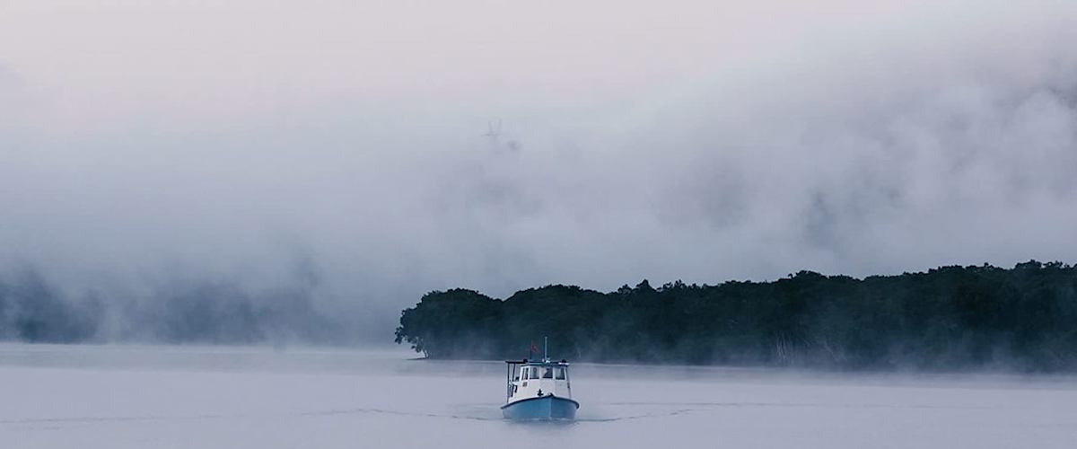 Watch The Screaming Silent