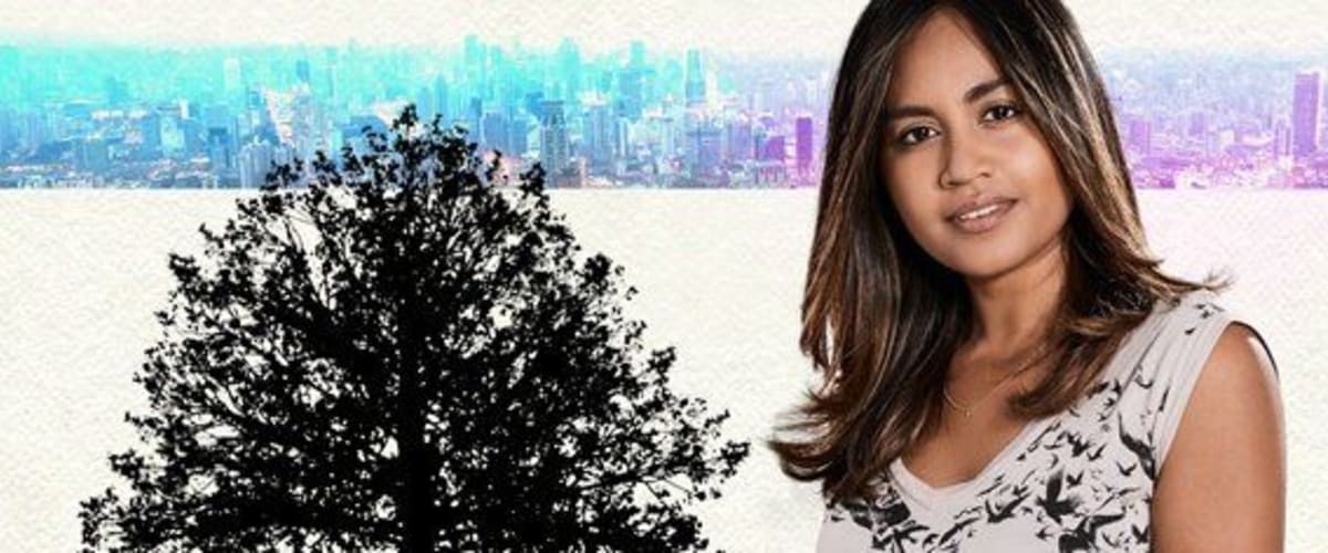 The Secret Daughter - Season 1